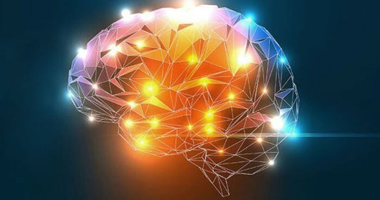 How to Increase Serotonin Levels